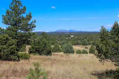 10398 NM 337, Tijeras 