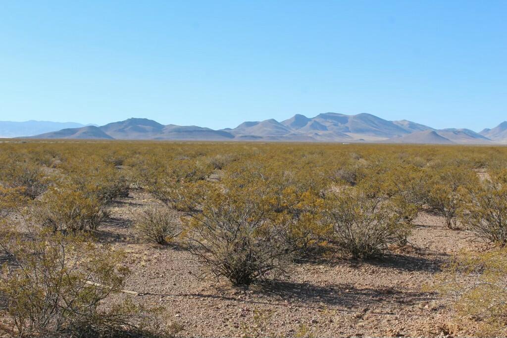 3-17 Willow Springs - Main Image