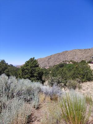 Evergreen Hills 3 Lot 1 NE, Albuquerque 