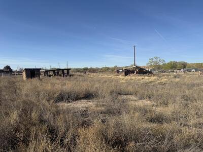 .40 Acres, Bosque 