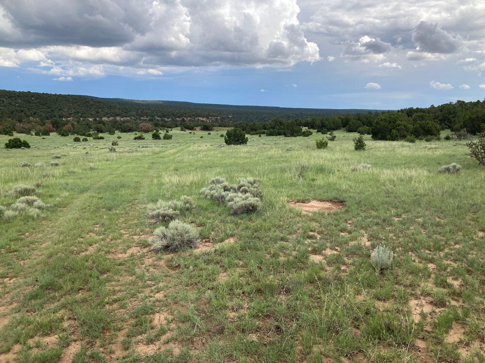 S Highway 34 - Main Image