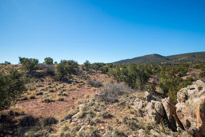 234 N Wild Primrose, Placitas 