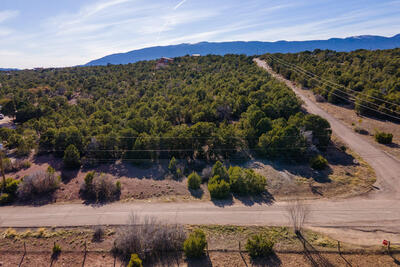 11 Camino De Avila, Tijeras 