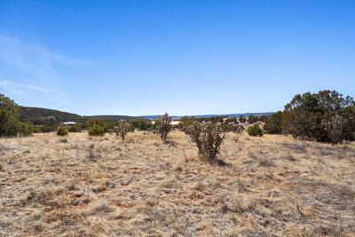 30 CRESTVIEW Road, Edgewood 
