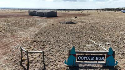 3 Coyote Loop, Moriarty