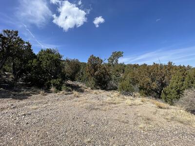31 Canon Escondido, Sandia Park 