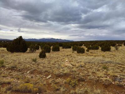 268 OLD ABO Trail, Mountainair 