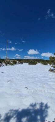 289 Sedillo Hill Road, Tijeras 