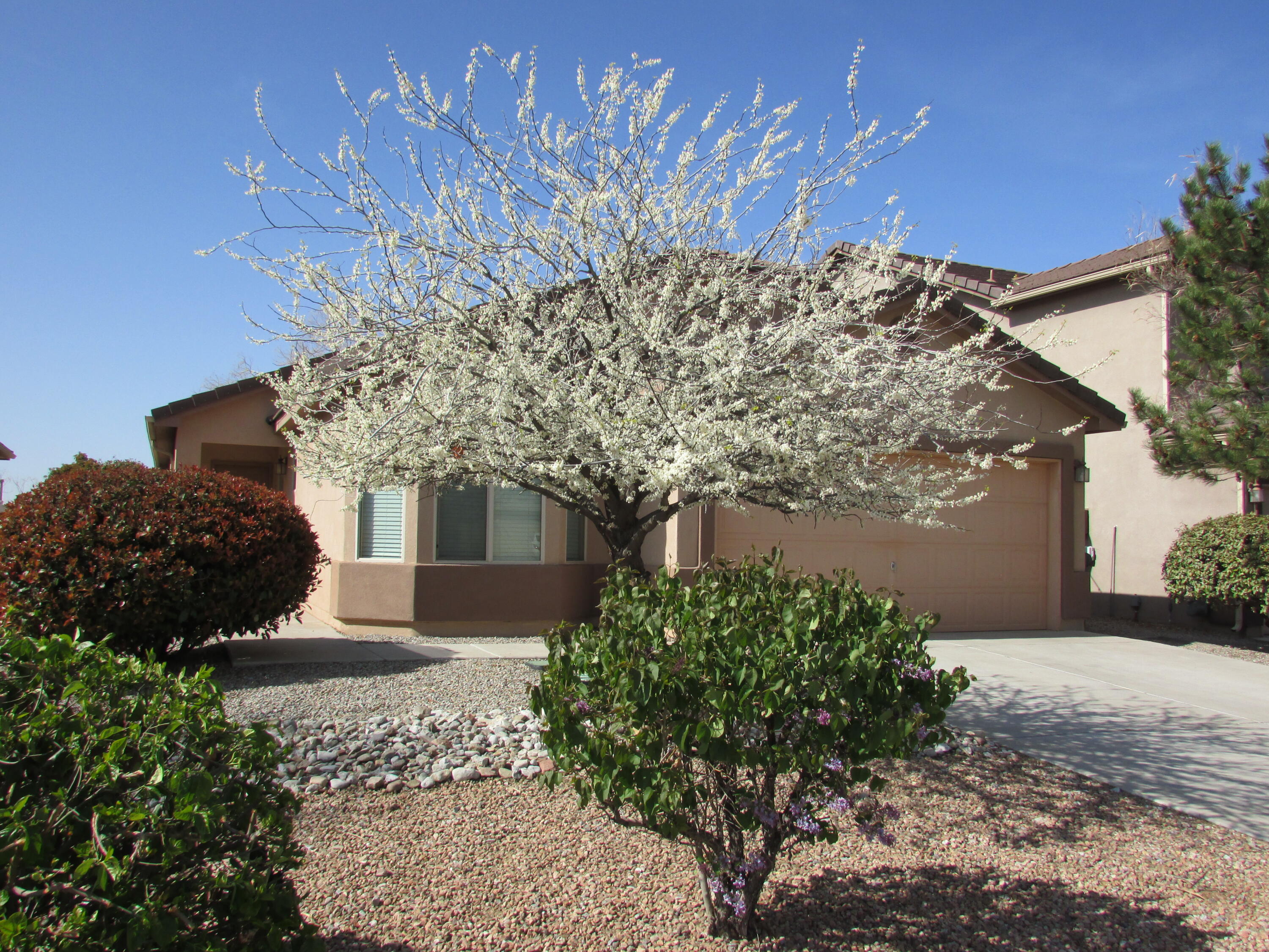 2843 VIOLETA Circle SE - Main Image