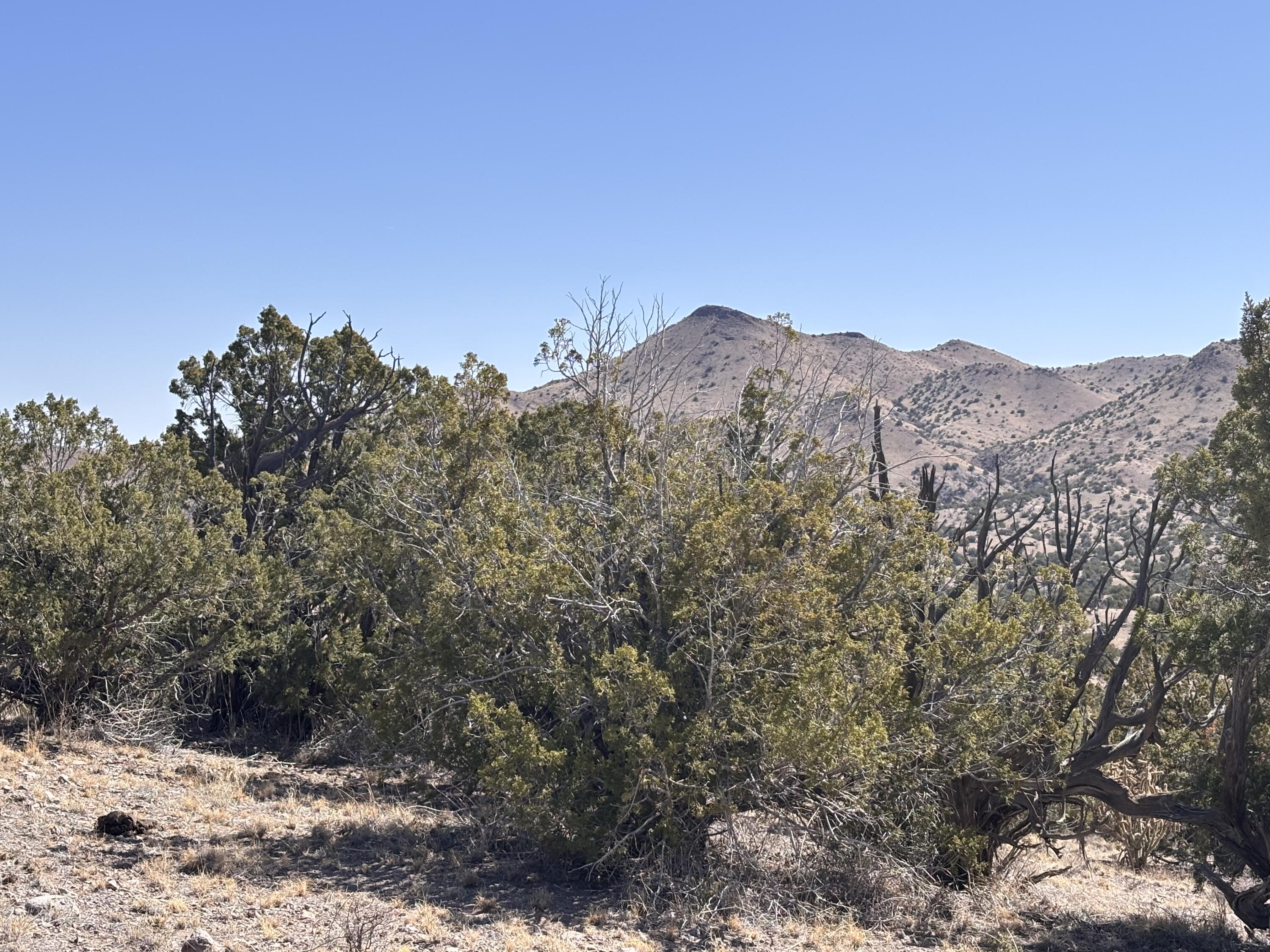 Lot 126 Abbe Springs - Main Image