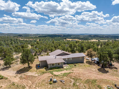 84 PRIVATE DRIVE 1717, Lindrith 