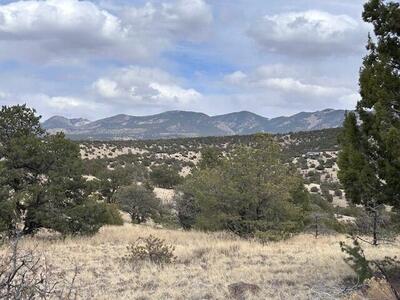 Lot 5 Magdalena Mountain Ranch, Magdalena 