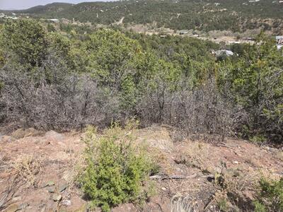 Lot 85 Manana Drive, Cedar Crest 
