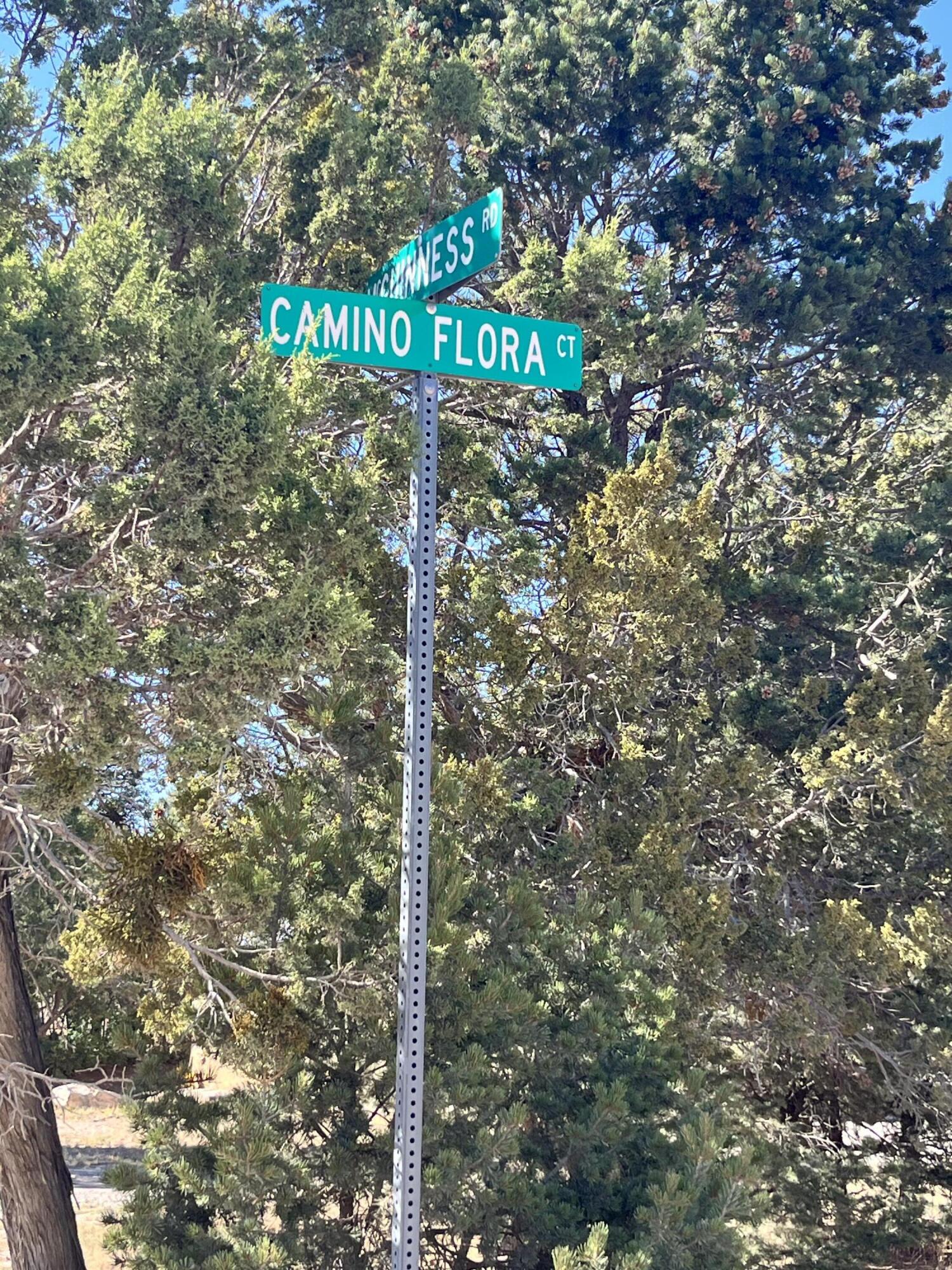 4 CAMINO FLORA - Main Image