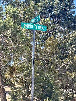 4 CAMINO FLORA, Tijeras 