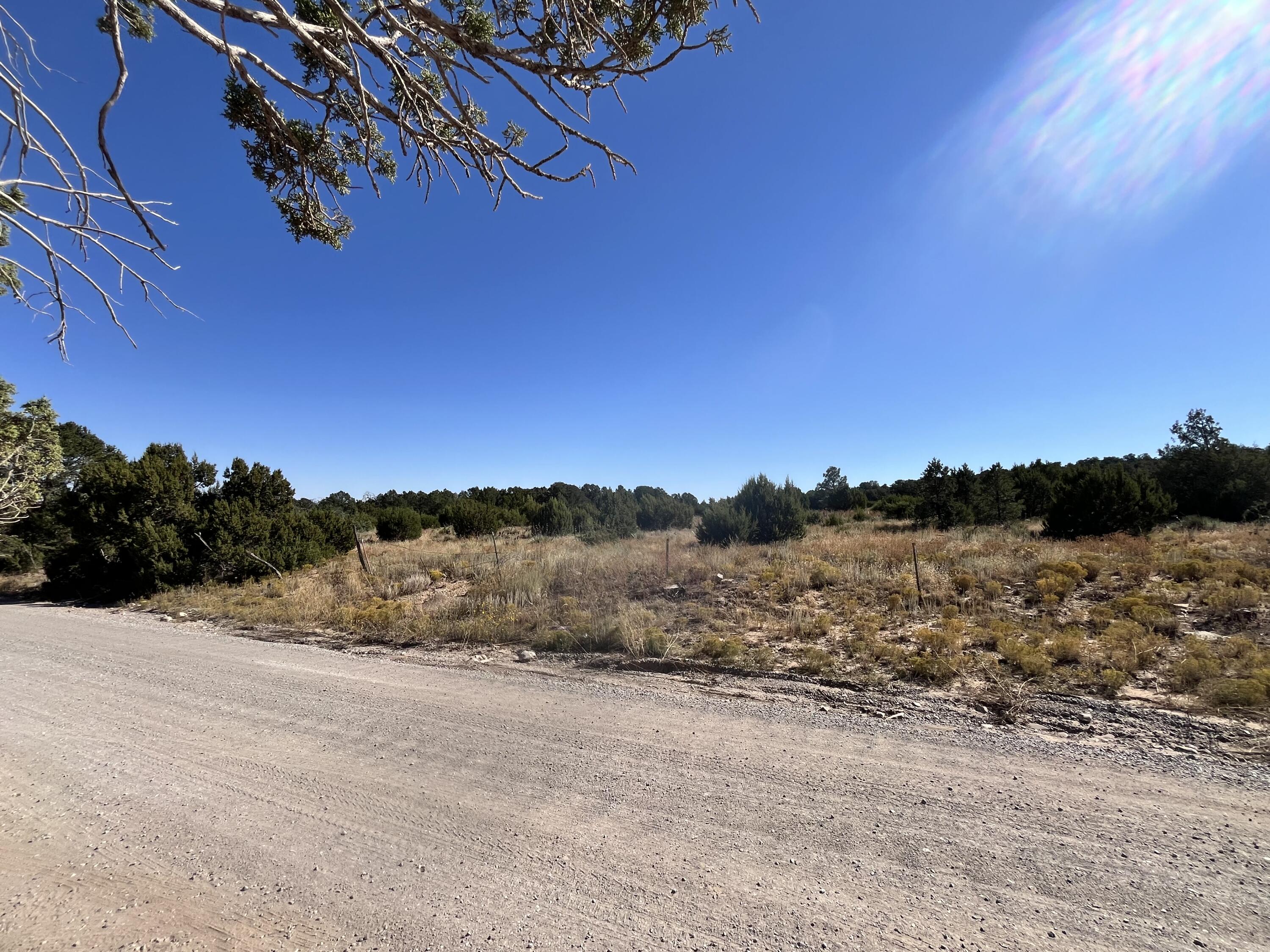 5 CAMINO PLATA Court - Main Image