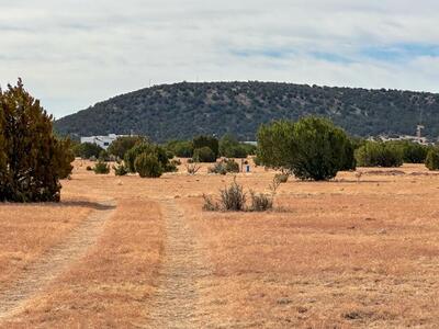 TBD County Road C03, Willard 