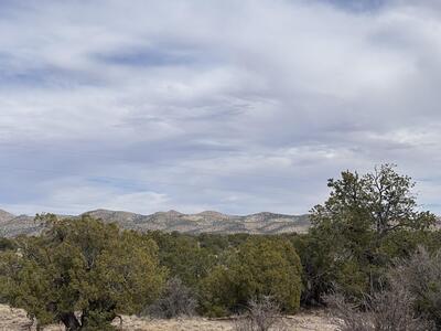 Lot 150 Pinon Springs, Magdalena 