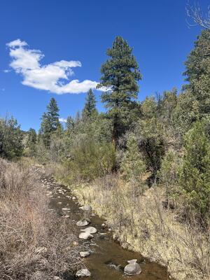 1A1A Camino Penasco, Jemez Springs 