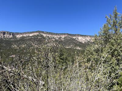 1A3 Calle Pinon, Jemez Springs 