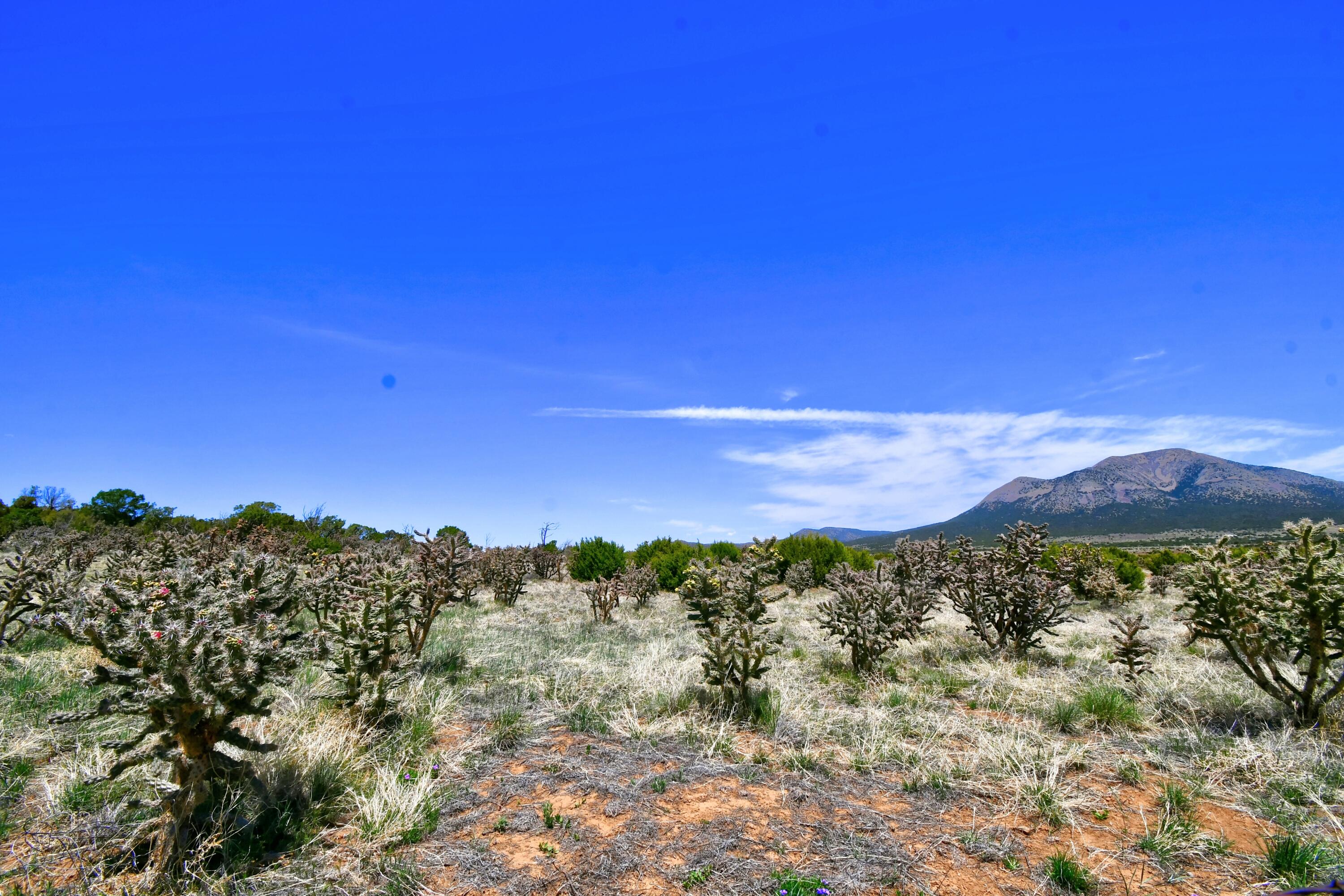 201 ENTRANOSA/ LOT 2 Road - Main Image