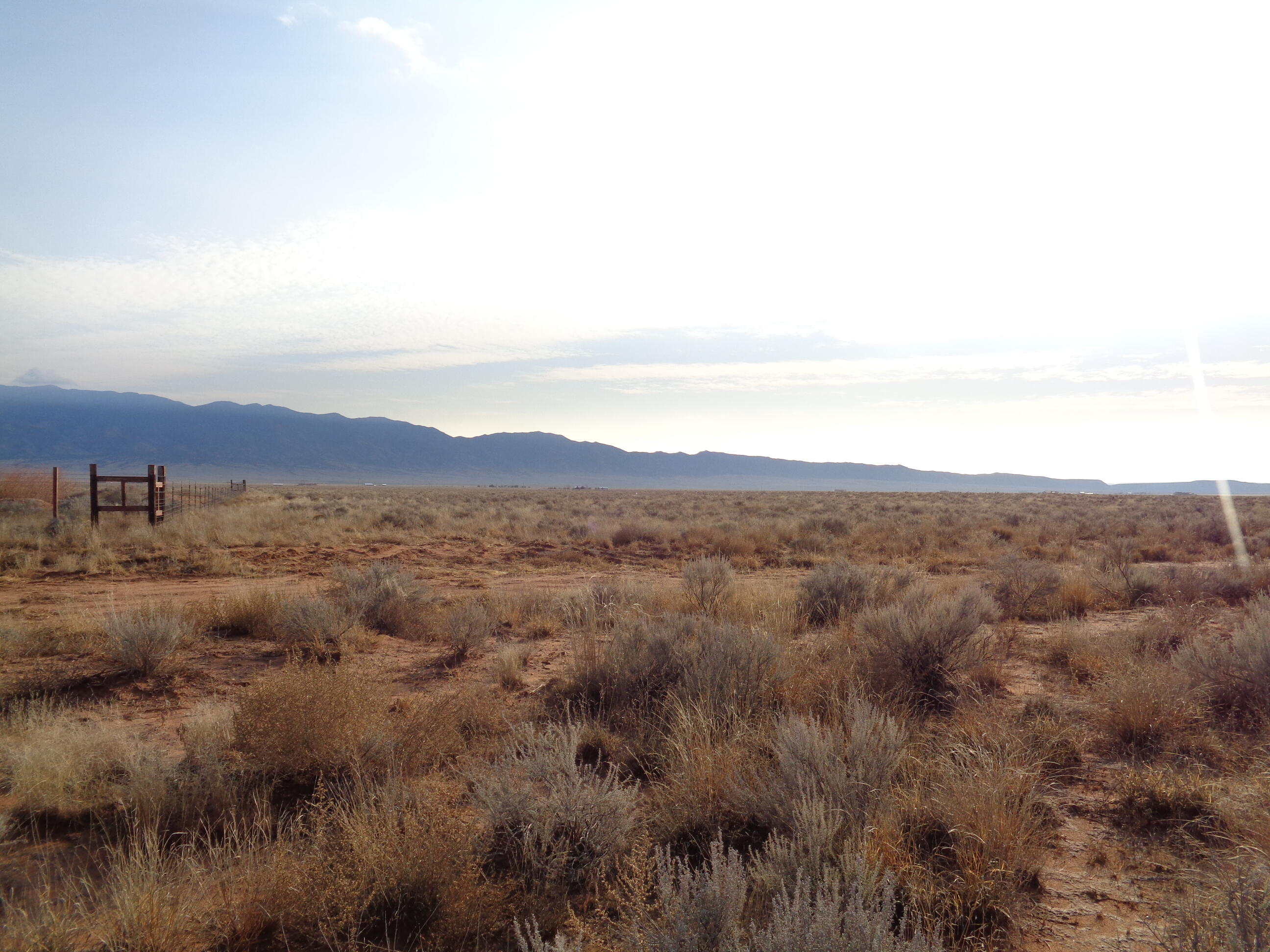 PALOMA Loop - Main Image