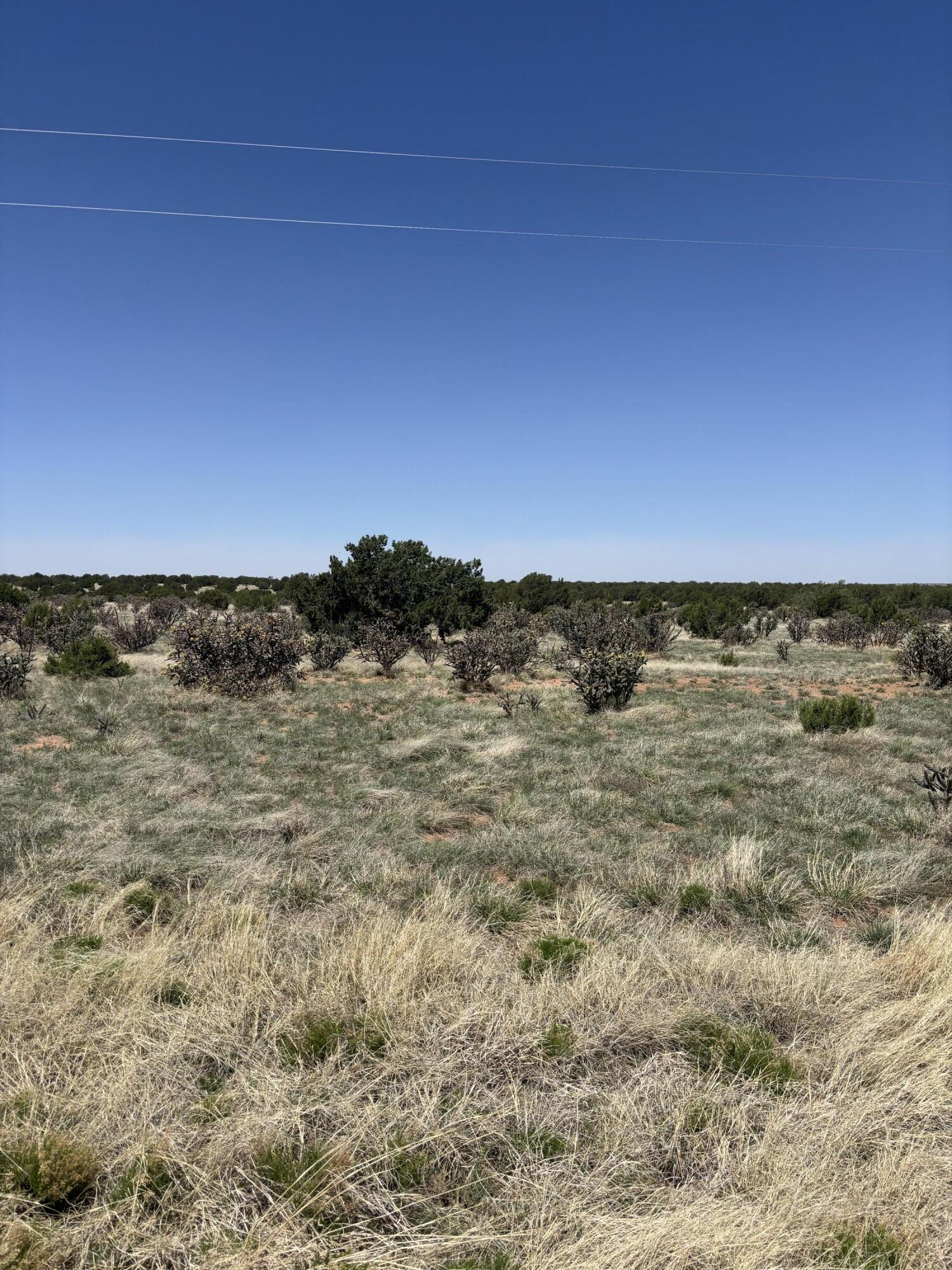 47 Lost Saddle Loop - Main Image