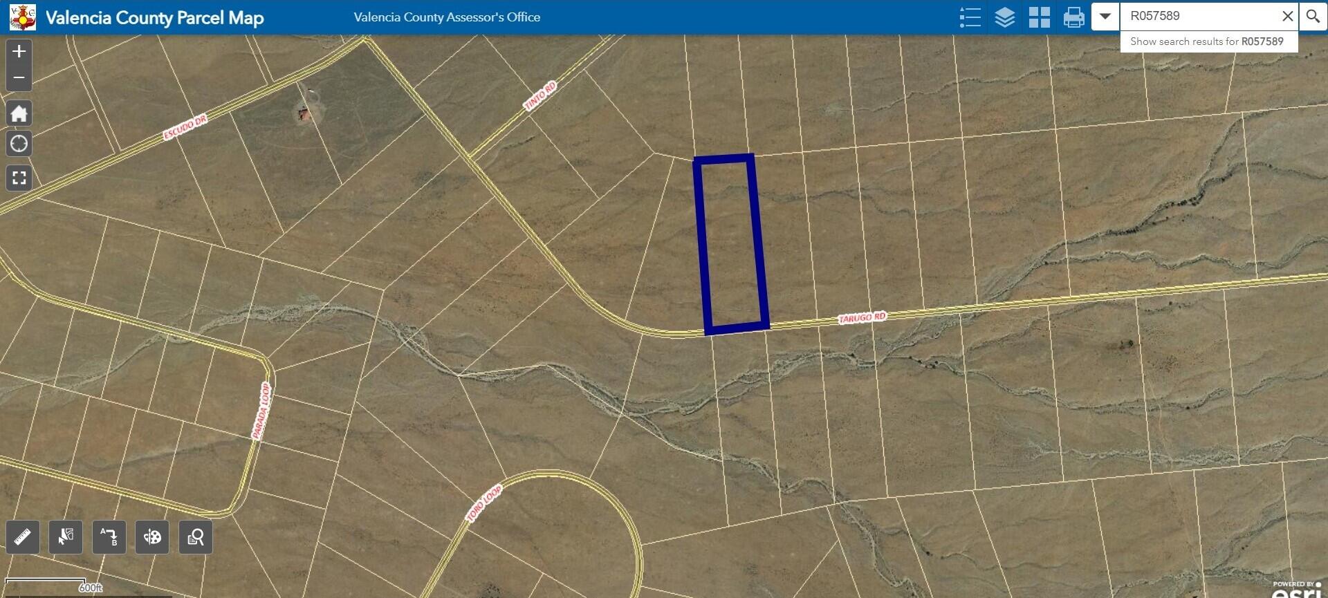 31.8 Acres in Tierra Grande - Main Image