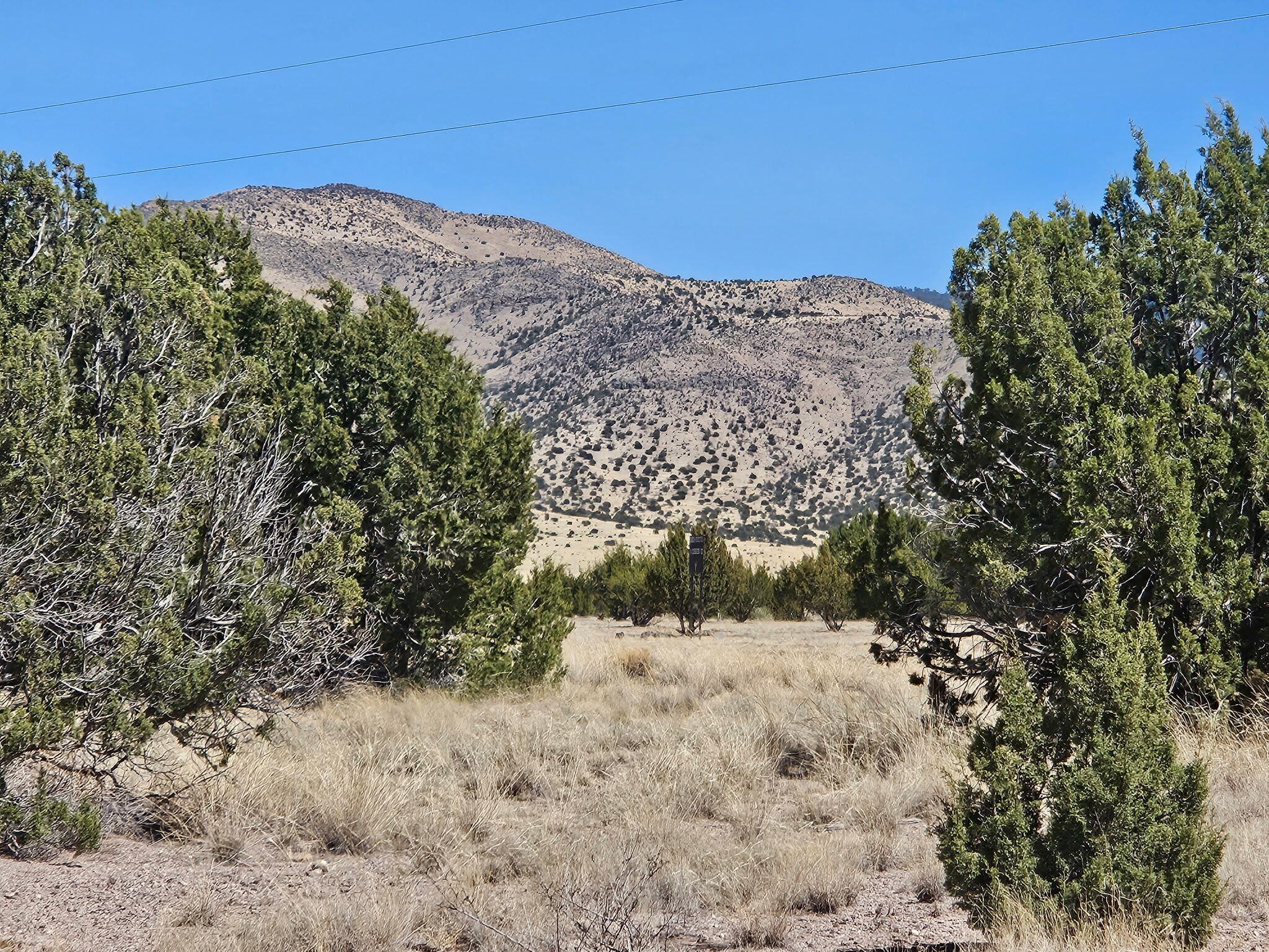 Lot 31 Magdalena Ranch Estates - Main Image