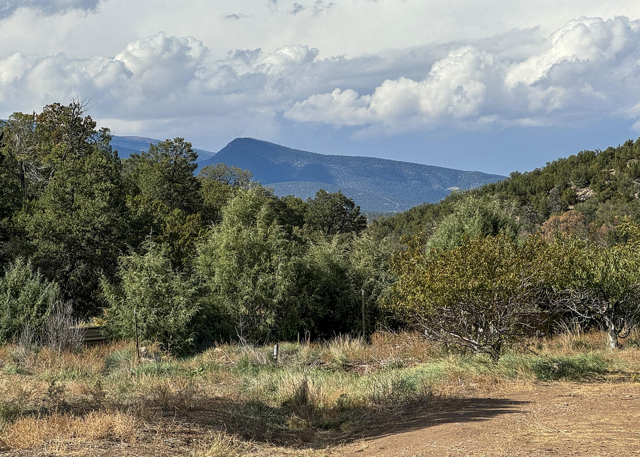 68 CANYON Road - Main Image