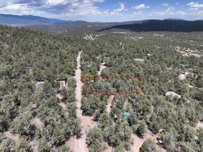 5 LA MIRANDA, Tijeras 