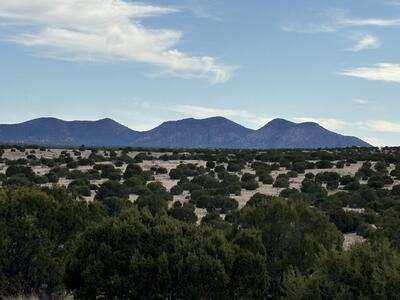 Lot 24 Pinon Springs Road, Magdalena 