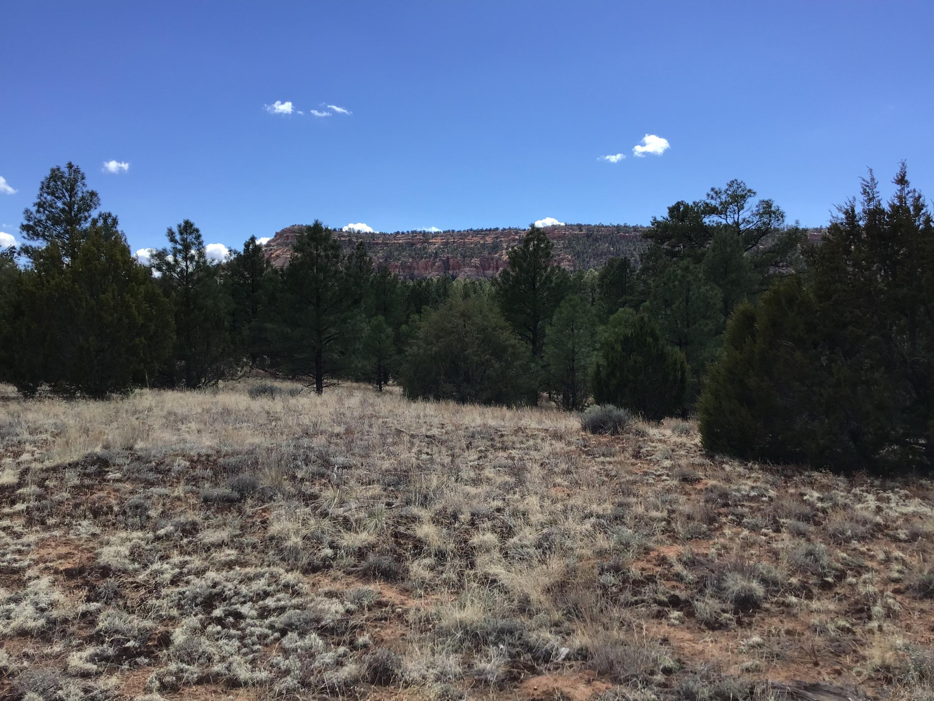 Lot 28 Monte Vista Lane - Main Image