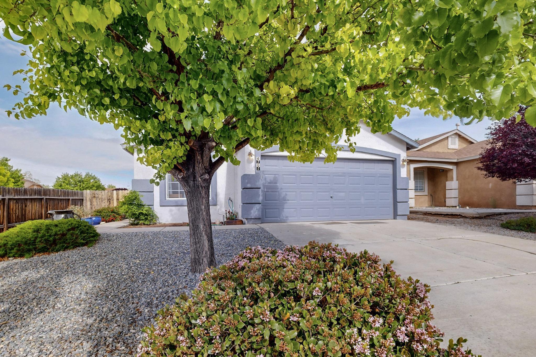 4701 WHIPPET Court NE - Main Image