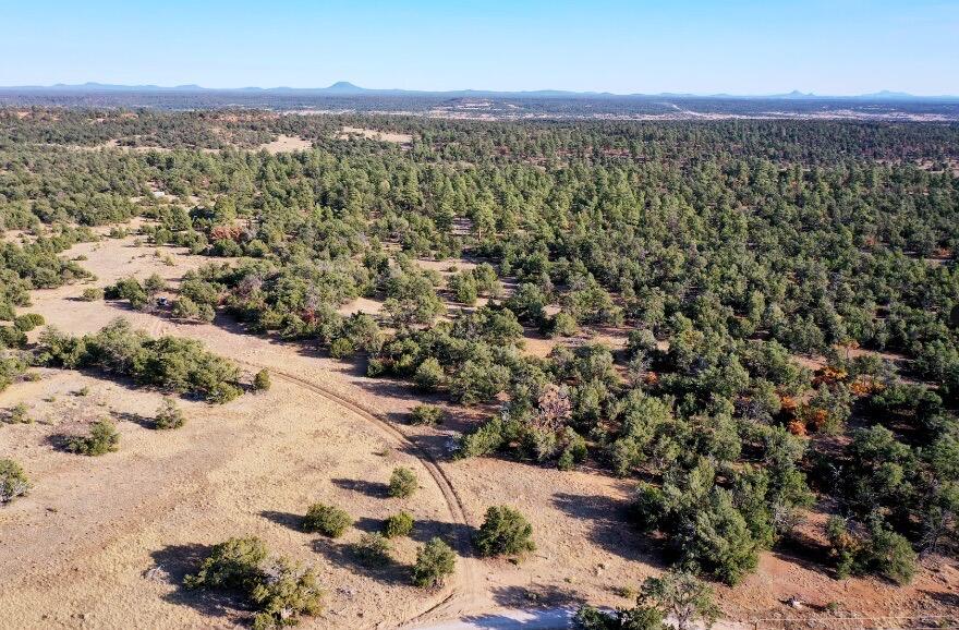 17 Hastings Loop - Main Image
