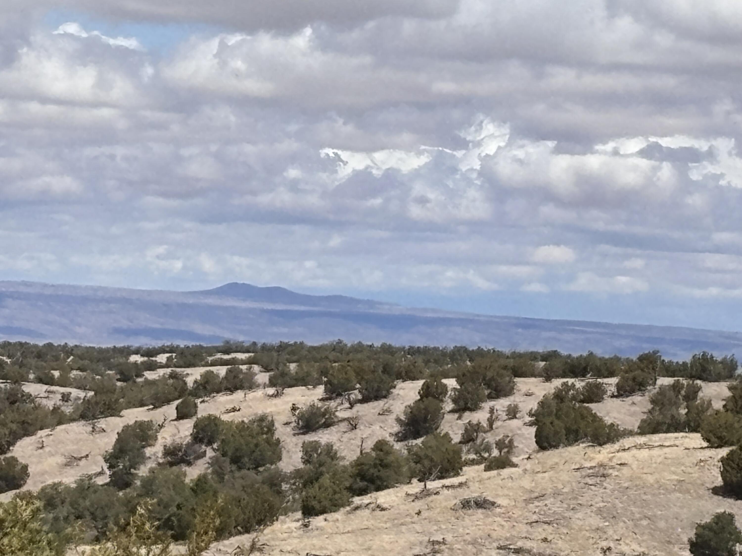 Lot 56 Pinon Springs Ranch - Main Image