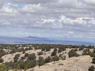 Lot 56 Pinon Springs Ranch, Magdalena 