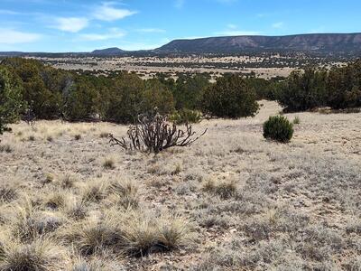 Highway 60, Mountainair 