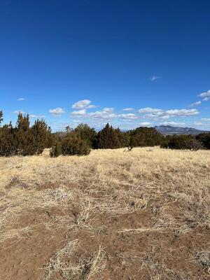 Kings Meadow Road, Sandia Park 