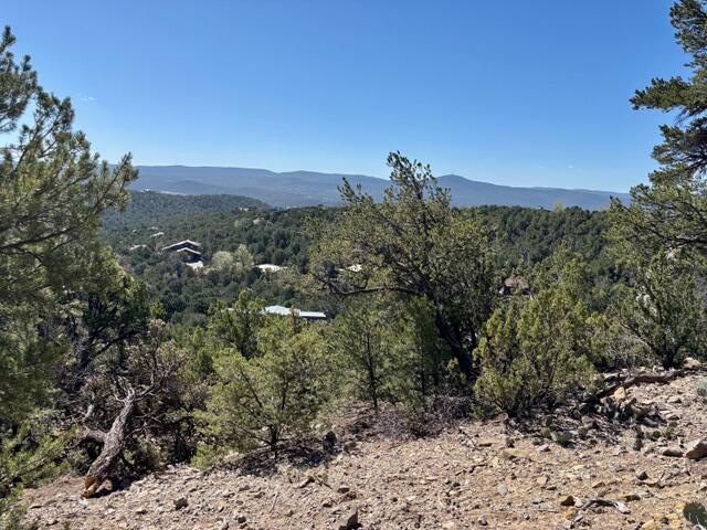 Los Amigos Court - Main Image