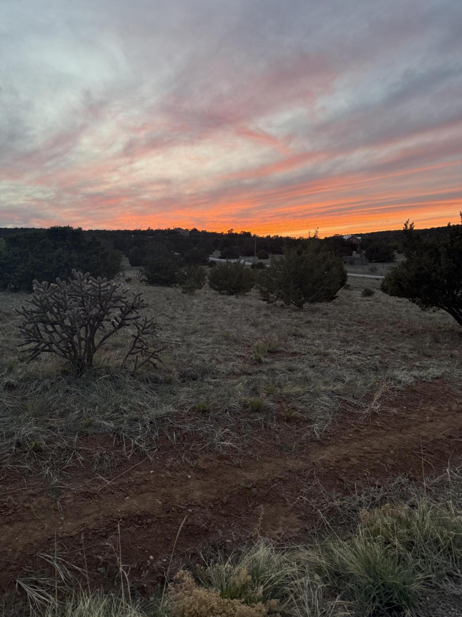 220 W Hill Ranch Road - Main Image