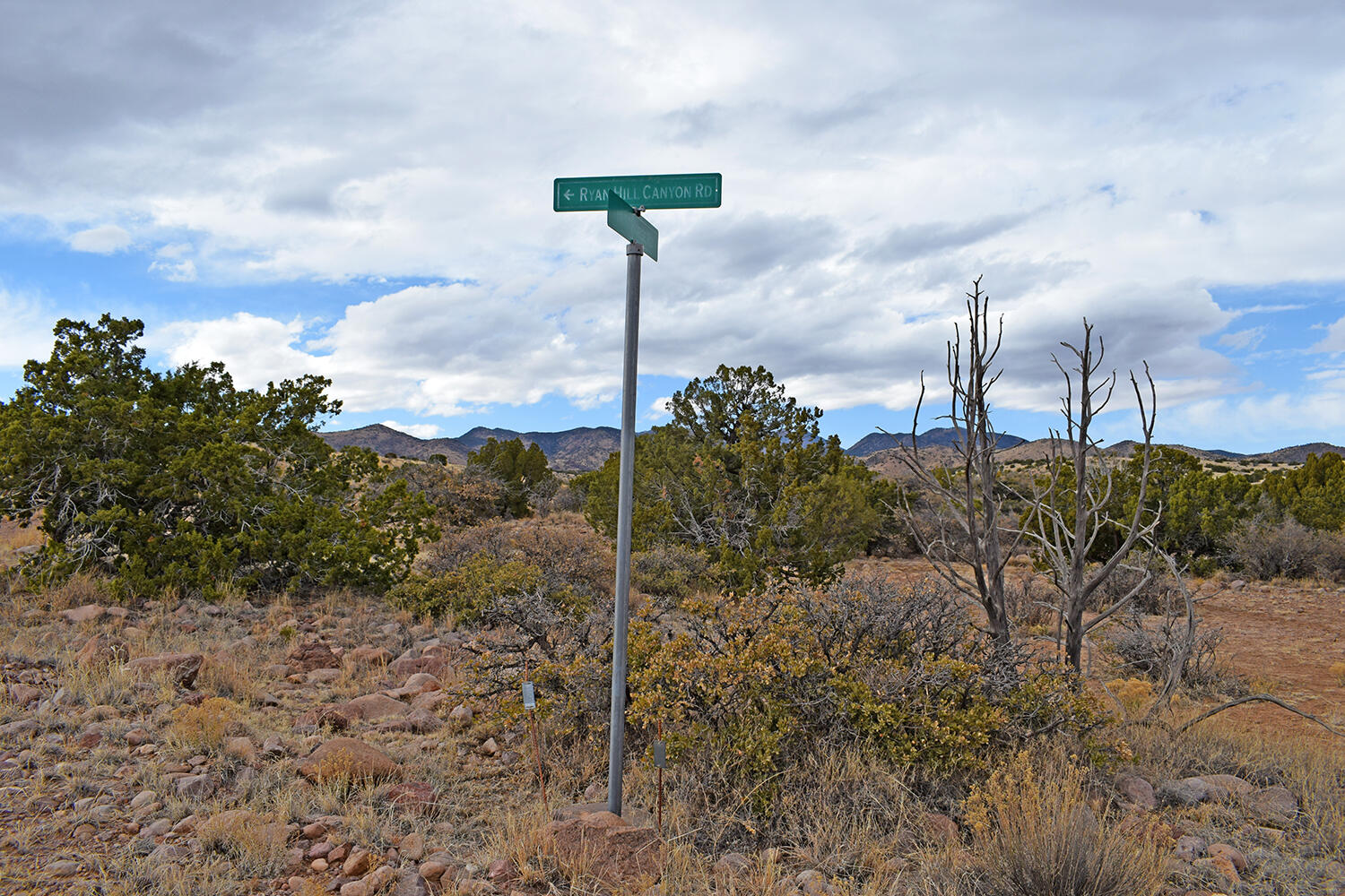 Lot 1A Willow Springs Ranch - Main Image