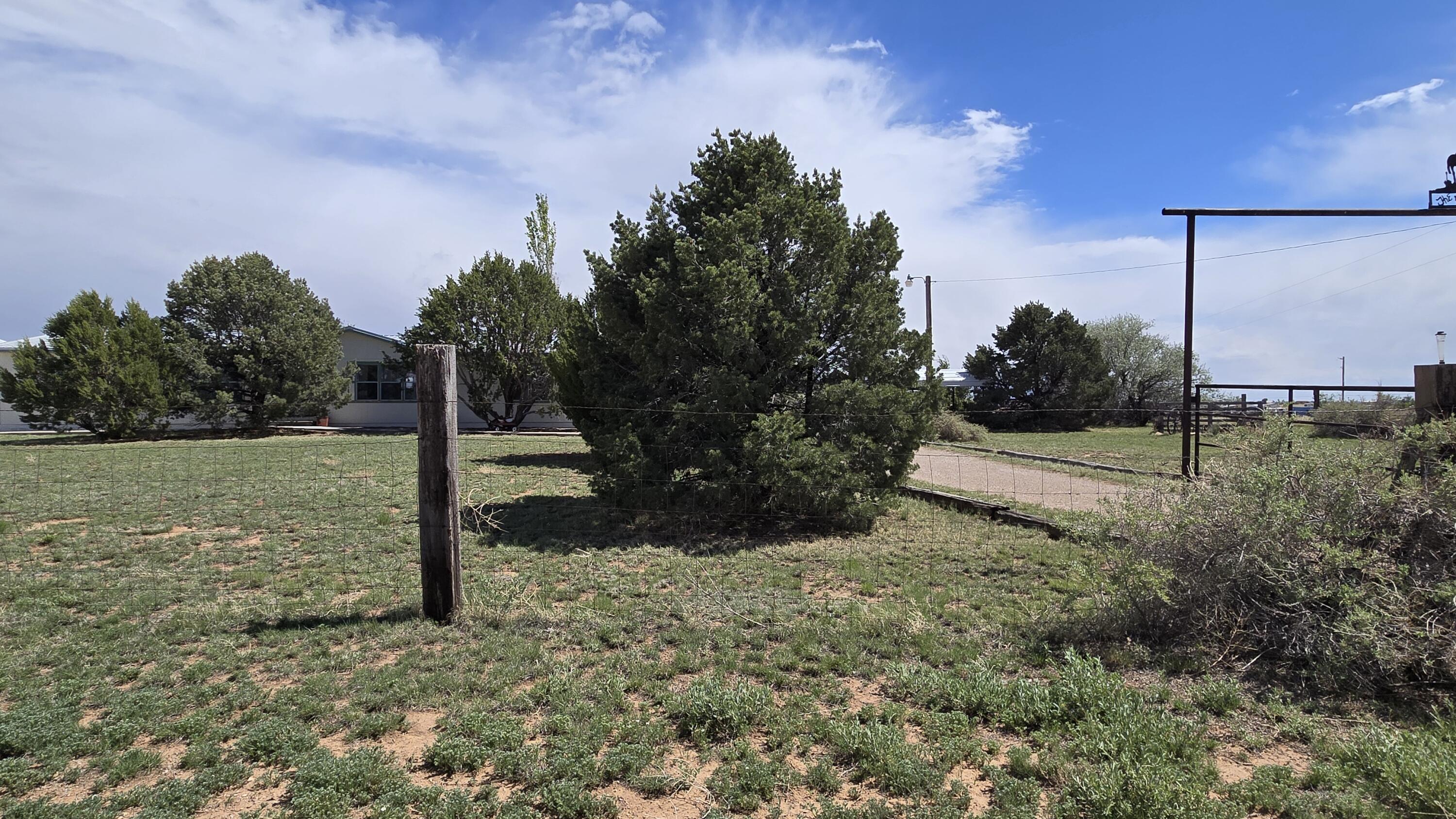 65 SOMBRERO Avenue - Main Image