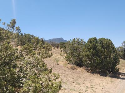 4 CHARLOTTE LANE, Placitas 