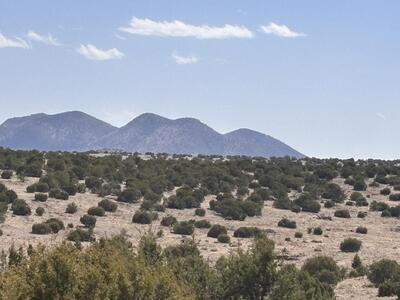 Lot 173 Pinon Springs Ranch, Magdalena 