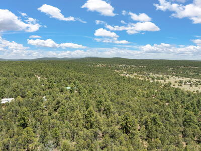 51 BOBOLINK Lane, Tijeras 