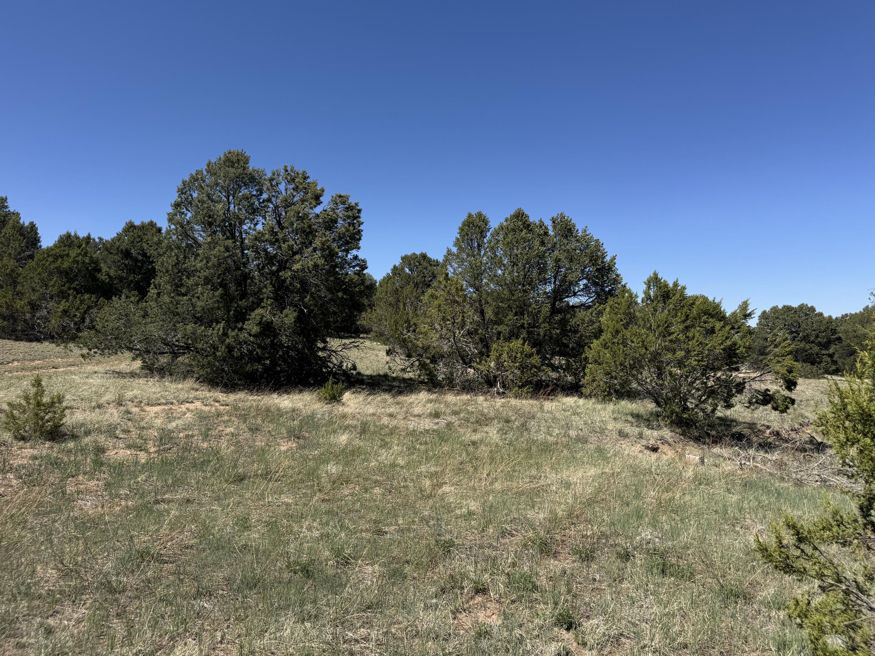 Tract 3 Gonzales Road - Main Image