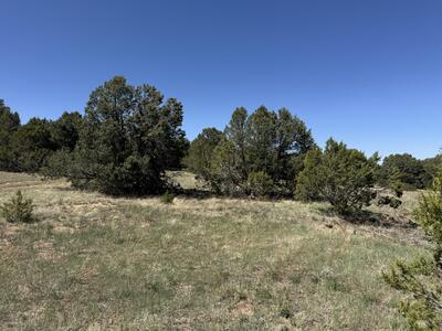 Tract 3 Gonzales Road, Edgewood 