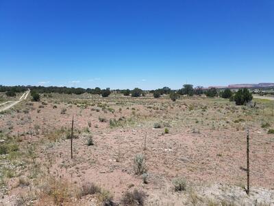 Tbd NM 612, Thoreau 