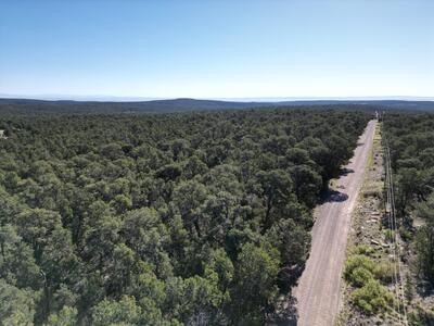 Tract 4 Gonzales, Edgewood 